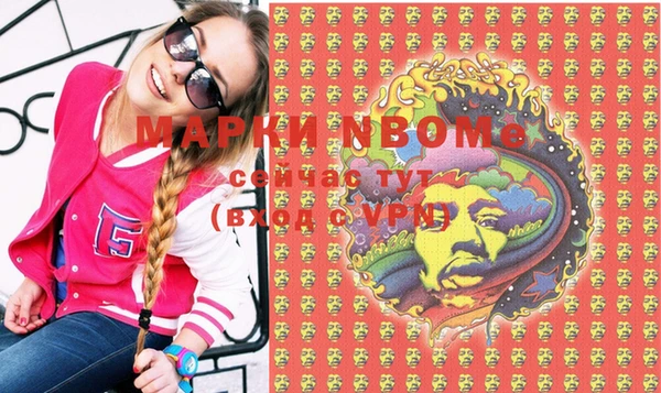 МДПВ Новозыбков