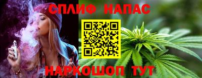 сатива Абакан