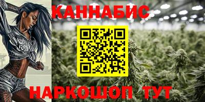 сатива Абакан