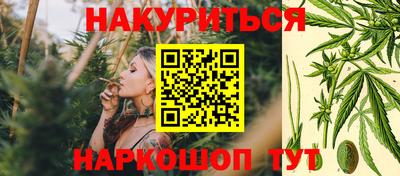 сатива Абакан