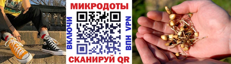 где купить наркоту  omg зеркало  Псилоцибиновые грибы мицелий  Алатырь 