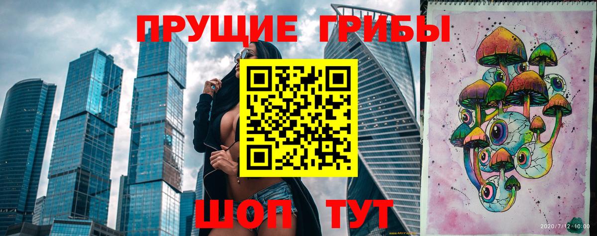 хочу наркоту  Алатырь  Псилоцибиновые грибы GOLDEN TEACHER  Галлюциногенные грибы Psilocybe 