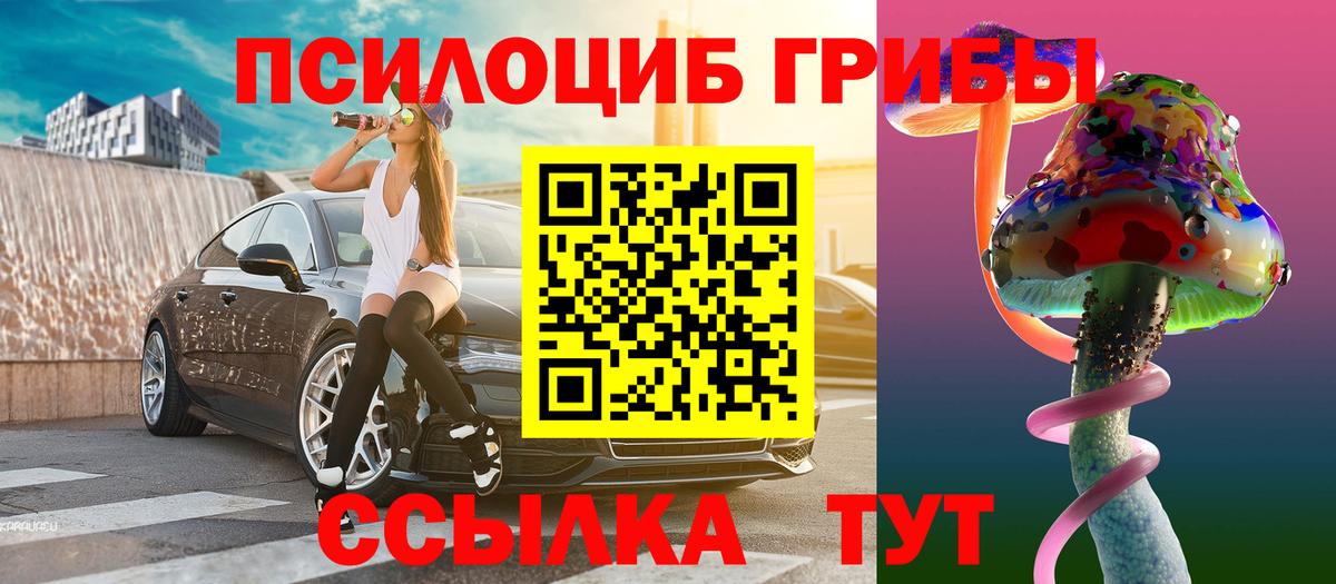 Псилоцибиновые грибы MAGIC MUSHROOMS  Псилоцибиновые грибы ЛСД  где купить   Алатырь  Вход с VPN 