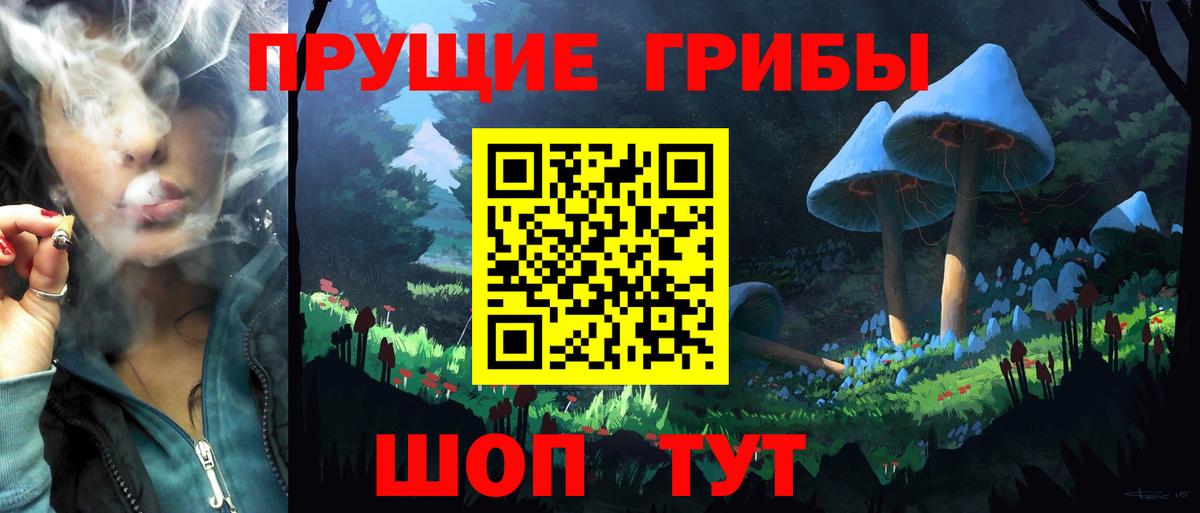 Псилоцибиновые грибы Psilocybe Алатырь