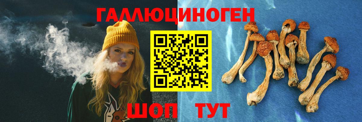 Алатырь  закладки  Вход с VPN  Галлюциногенные грибы Magic Shrooms  Галлюциногенные грибы Magic Shrooms 